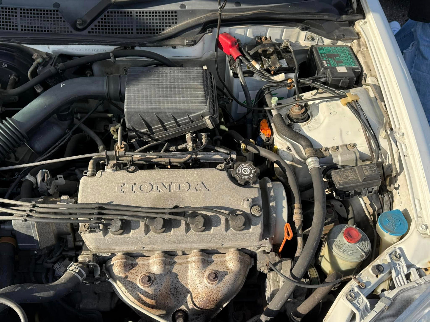 1999 Honda Civic EK3 Ferio