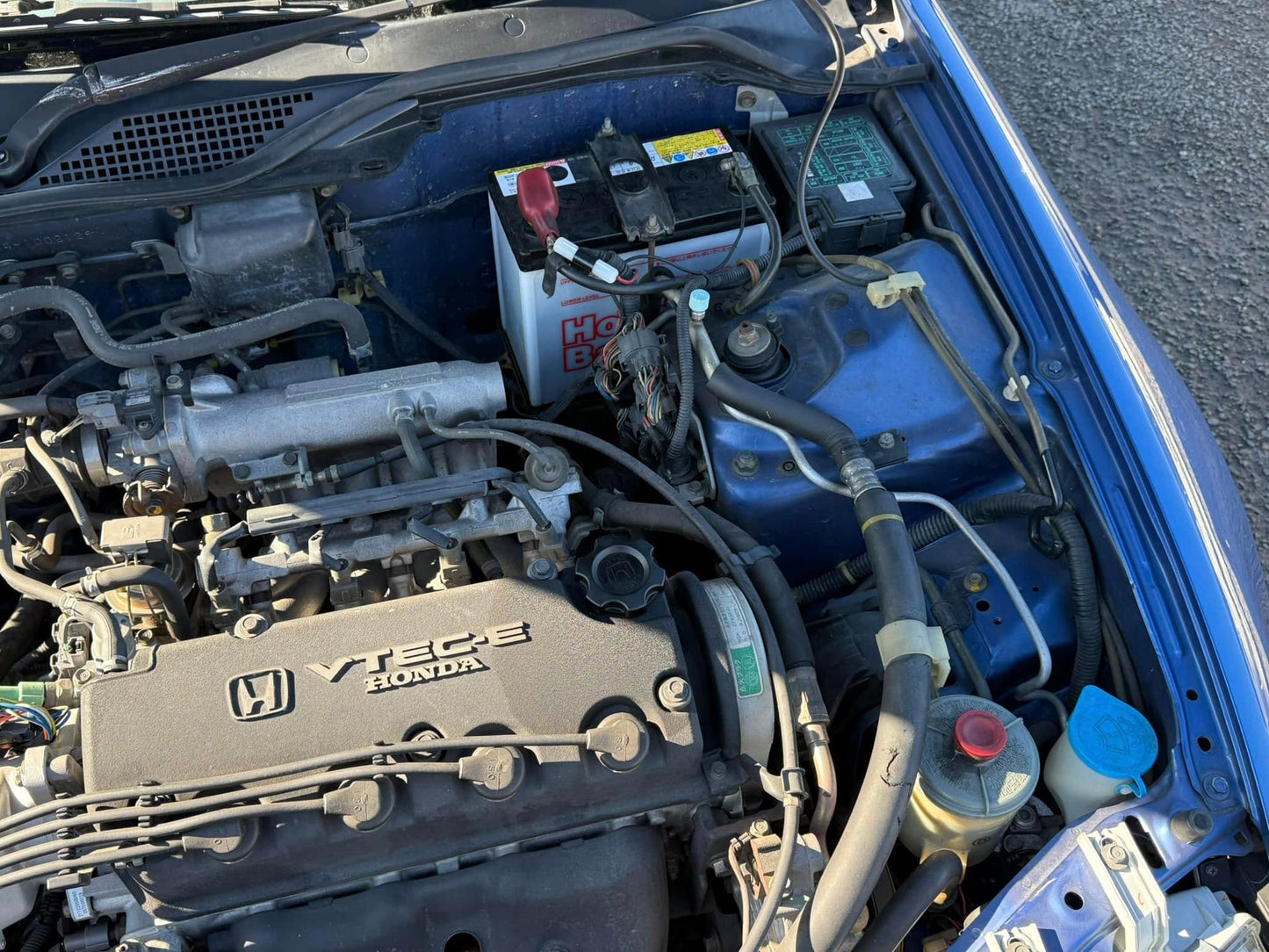 1991 Honda Civic EG-4