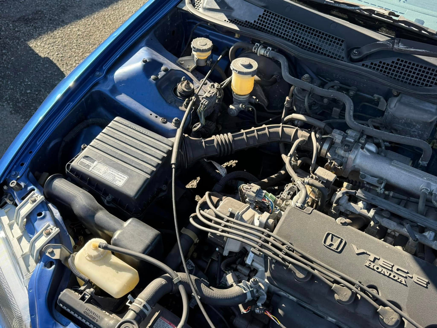 1991 Honda Civic EG-4