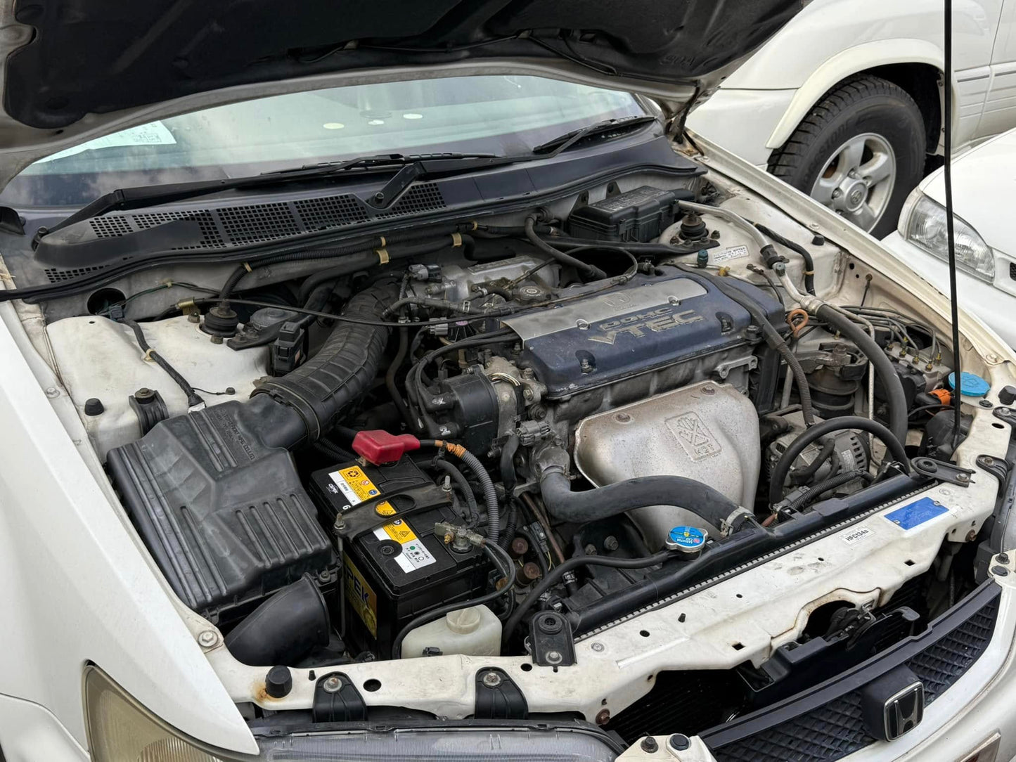 1999 Honda Accord Wagon SiR