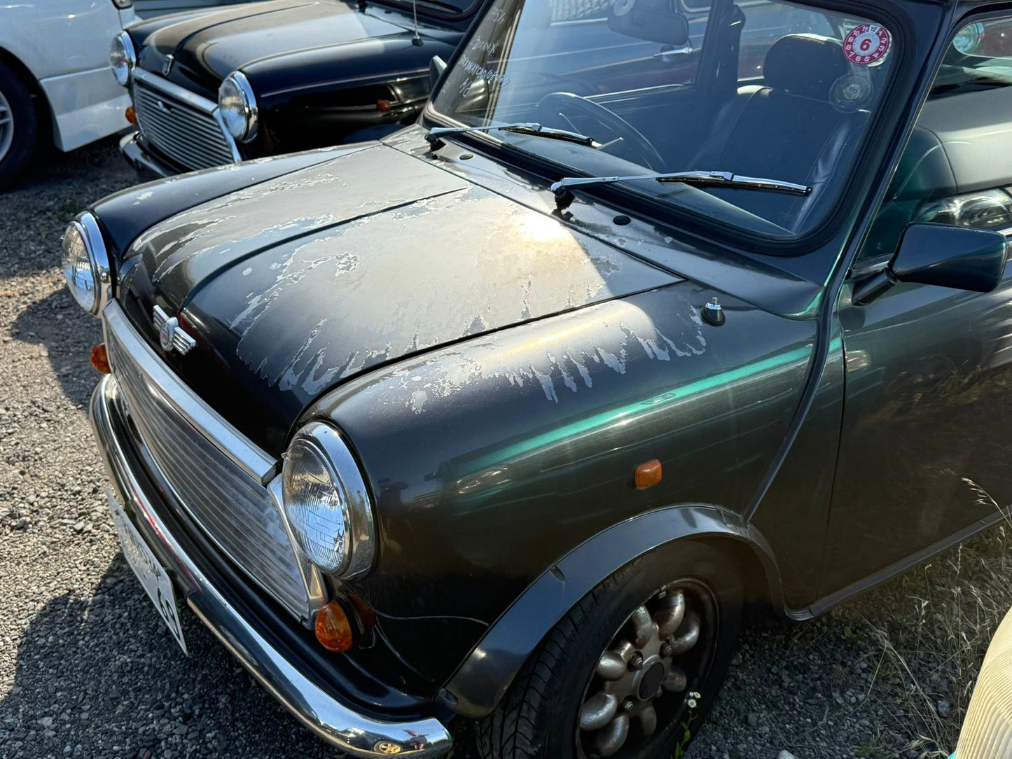 1995 Mini Cooper