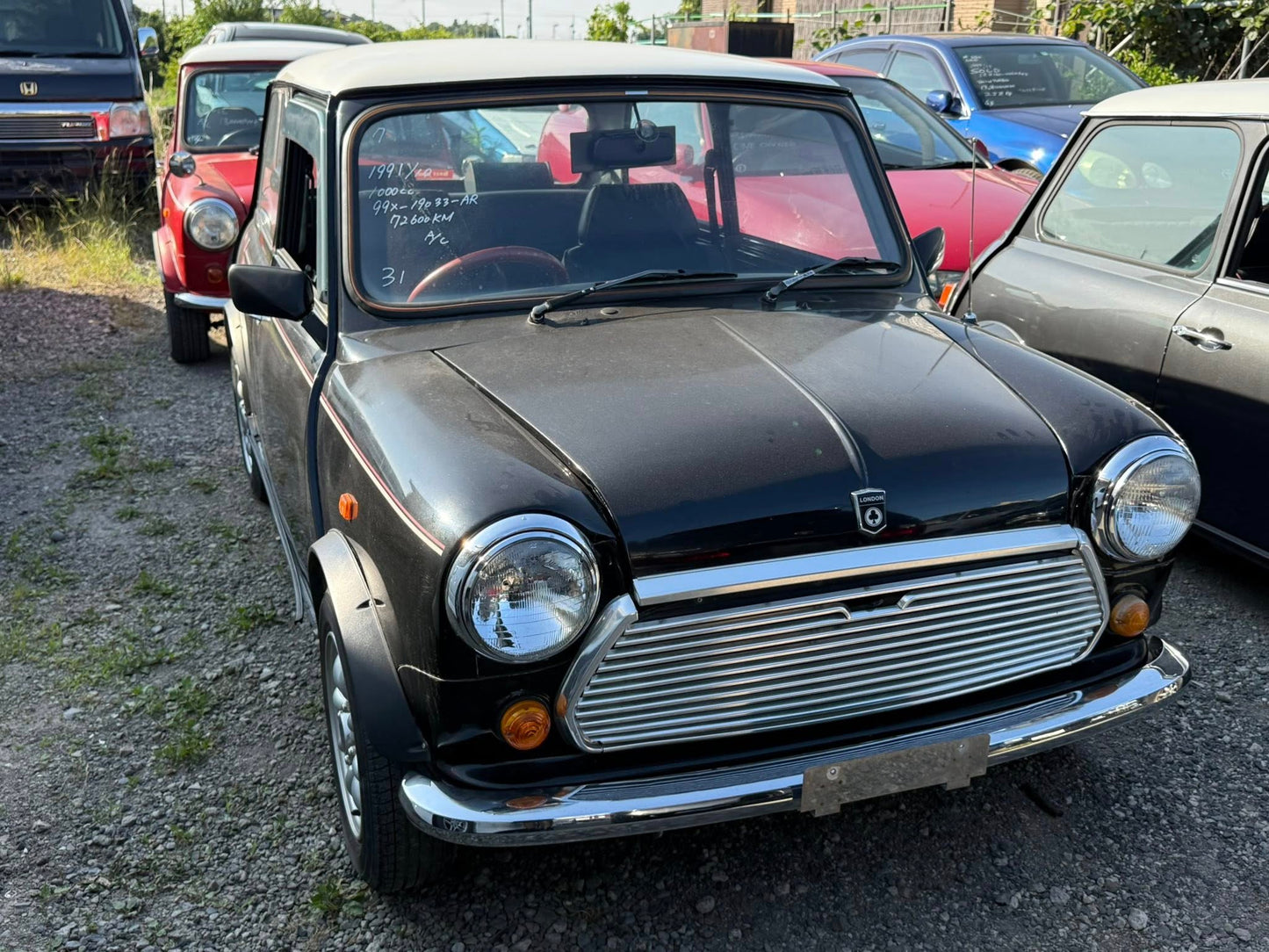 1991 Mini Cooper (Rover)