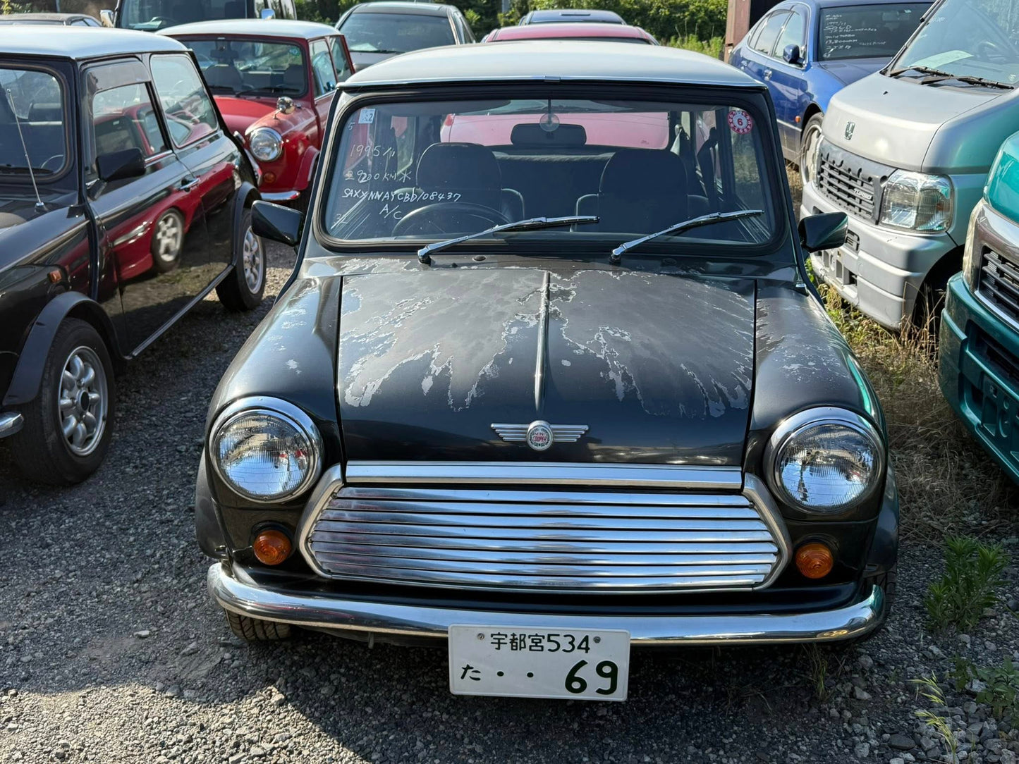 1995 Mini Cooper