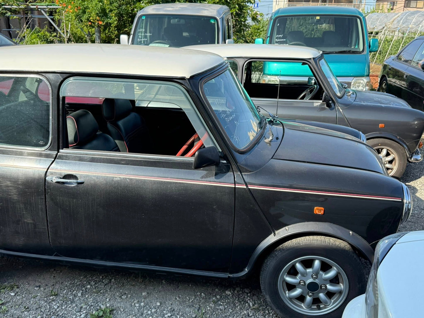 1991 Mini Cooper (Rover)