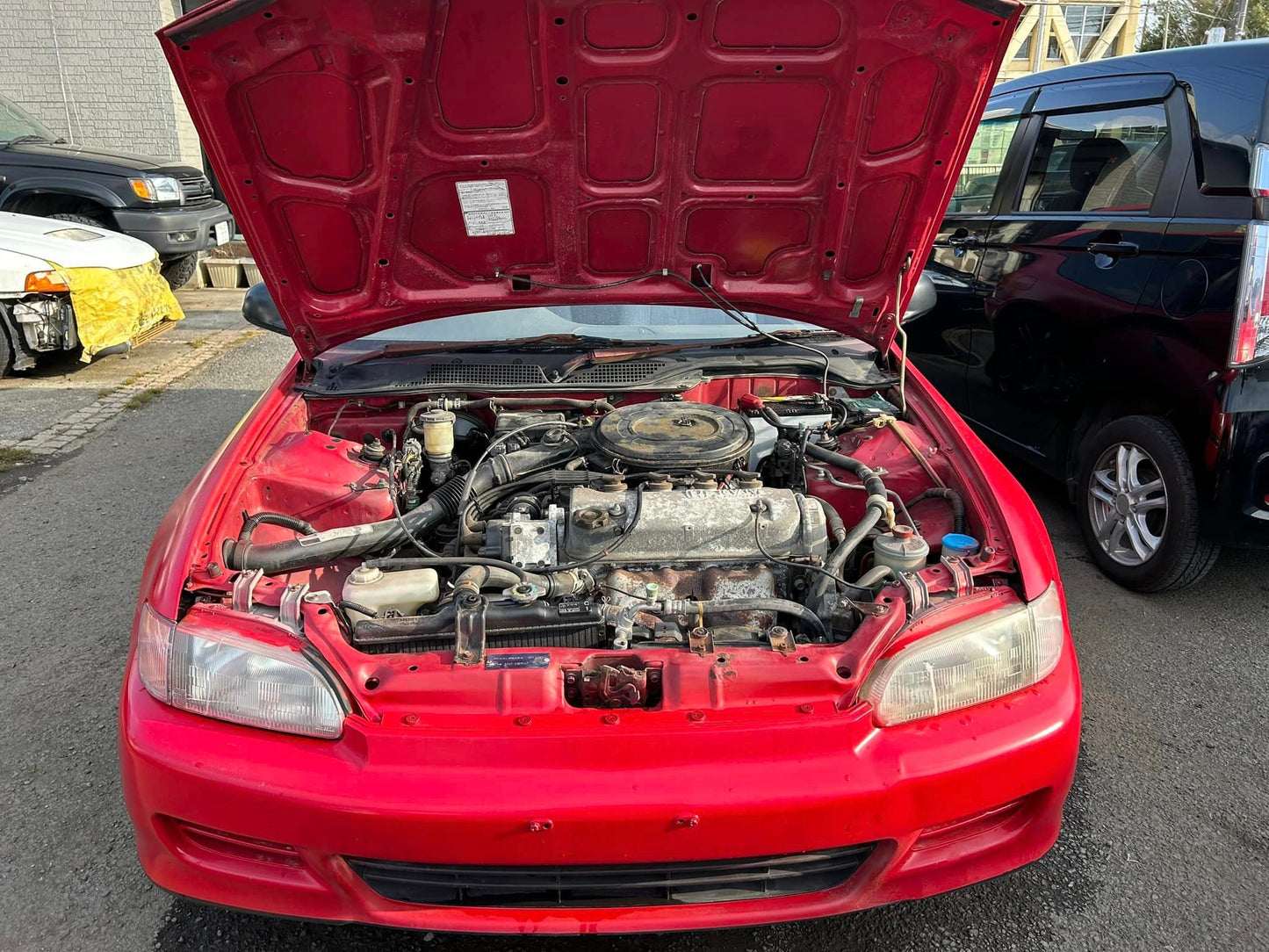 1995 Honda Civic EG3