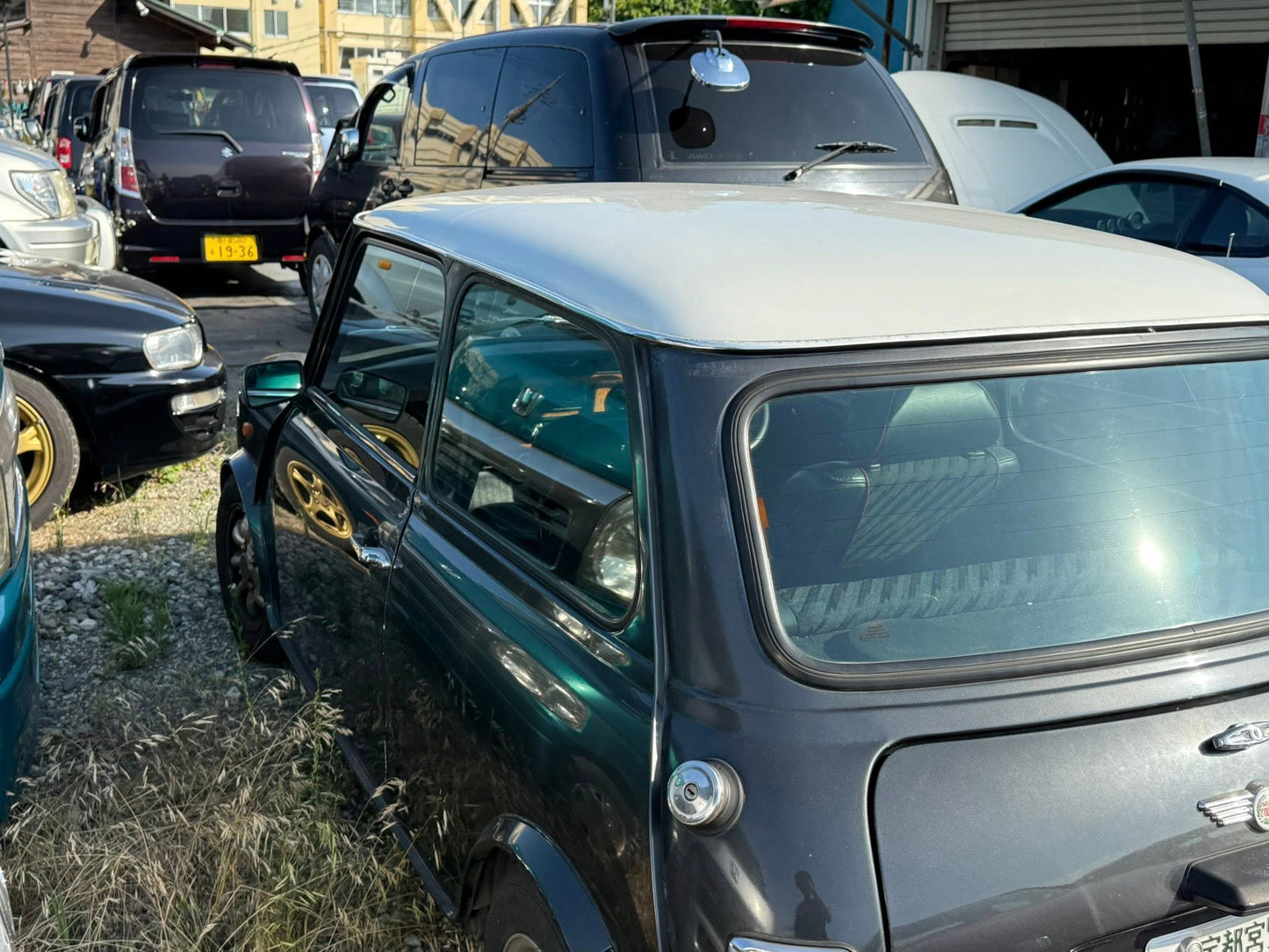 1995 Mini Cooper
