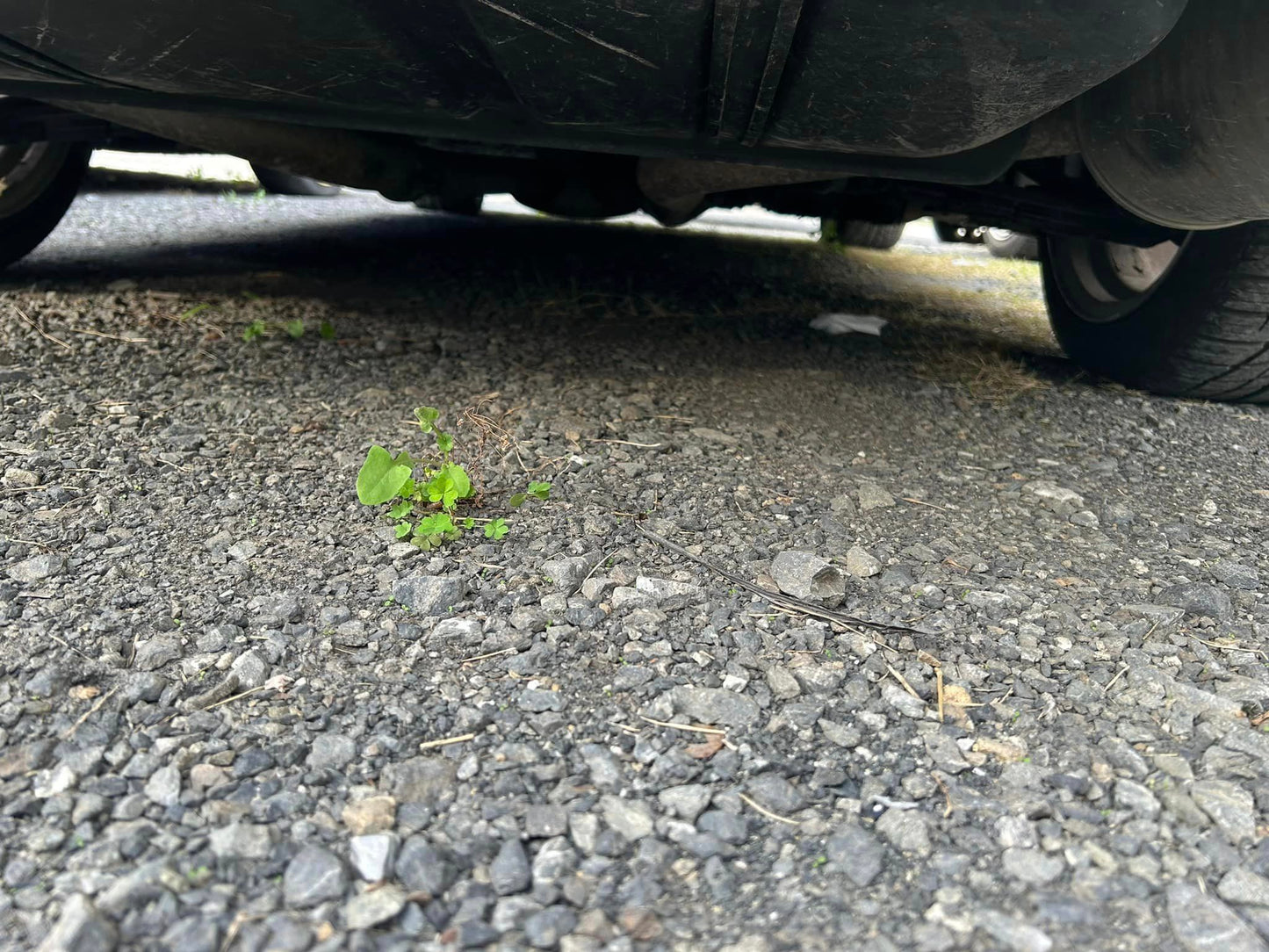 1990 Nissan Z Twin Turbo